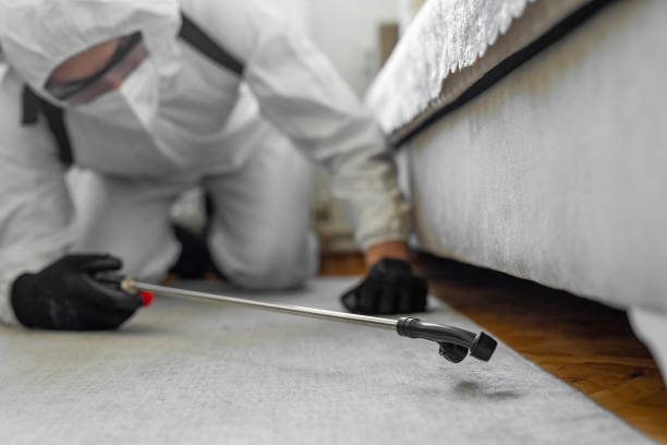 Professional Termite Control technician working in Frederick, CO