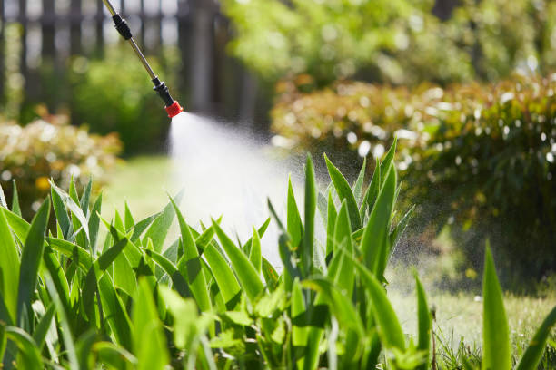 24/7 Emergency Termite Control experts in Frederick, CO